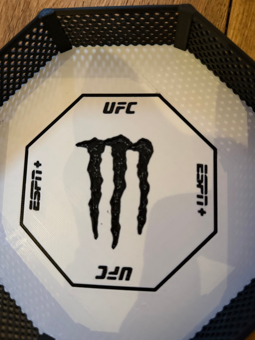 UFC octagon.