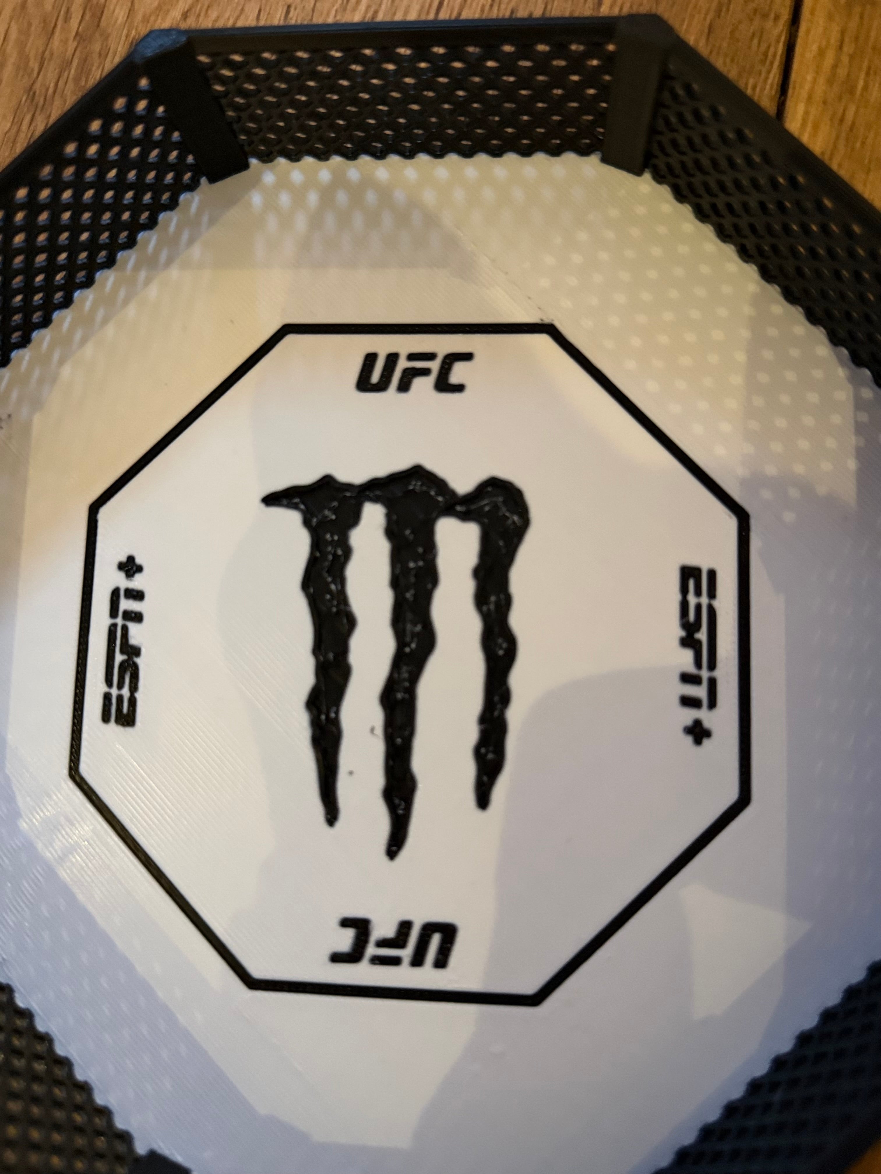 UFC octagon.