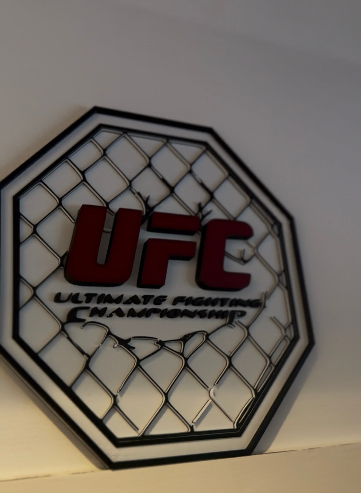 UFC display piece
